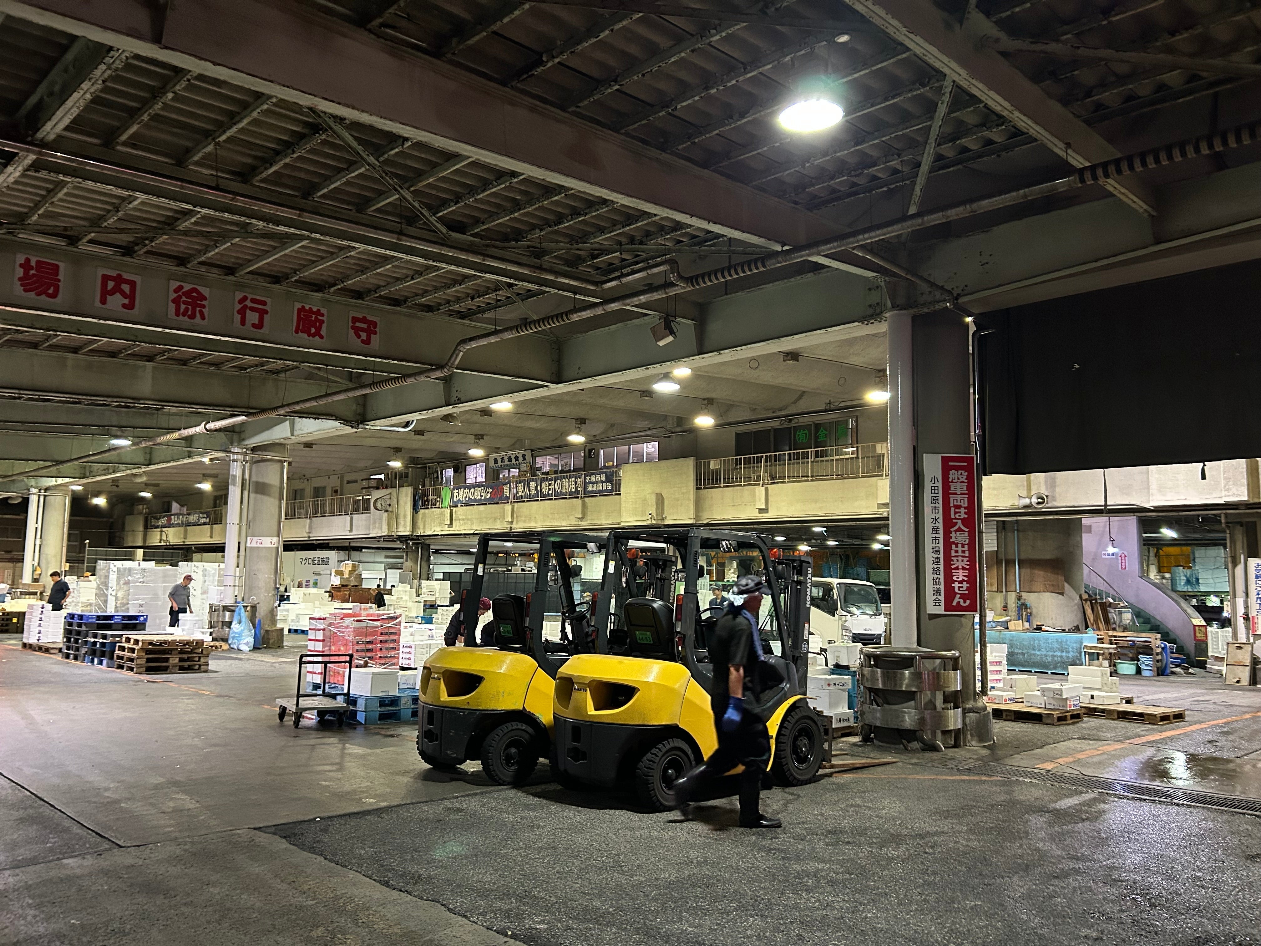 シェフのお料理コラム~小田原魚市場 見学~