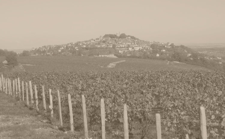 Vignobles Berthier