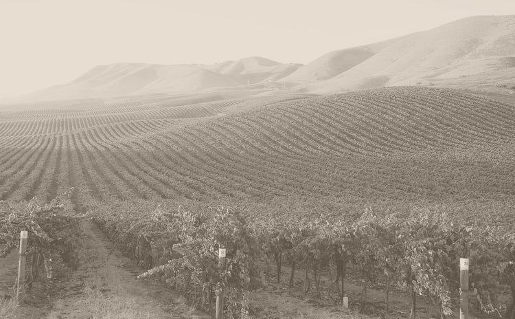 Cambria