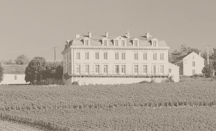 Domaine Camille Thiriet