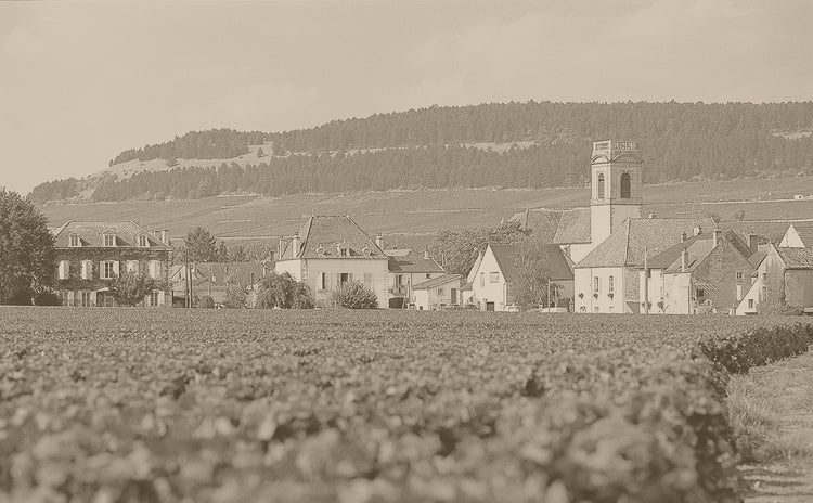 Cellier des Dames