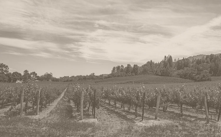 Crimson Ranch