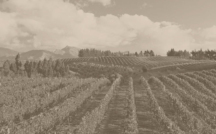 Marlborough