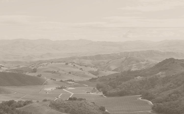 Cienega Valley