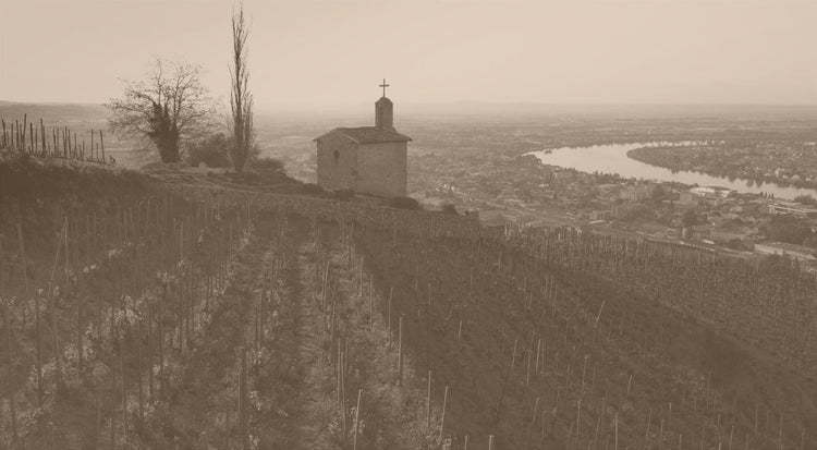 Domaine Caroline Frey 生産者来日イベント開催！