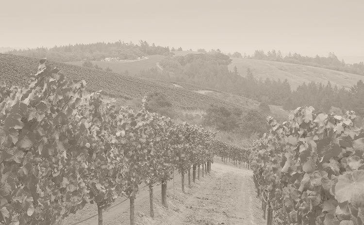 Joseph Phelps Vineyards