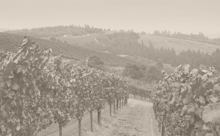 Napa Valley