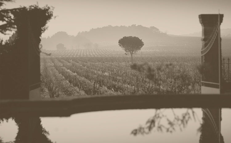 La Vieille Ferme