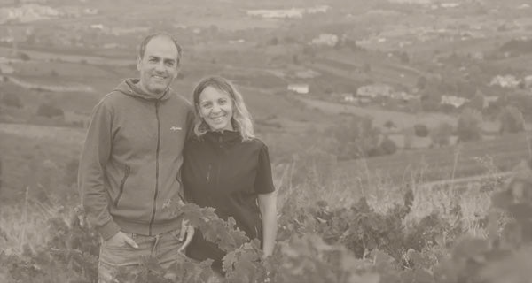 Michelini I Mufatto