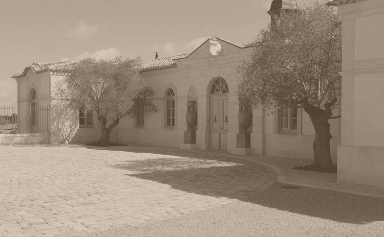 Petrus