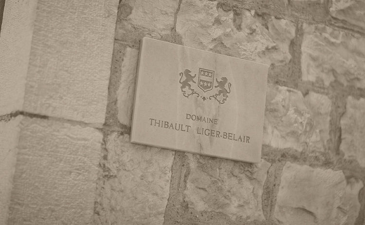 Thibault Liger-Belair