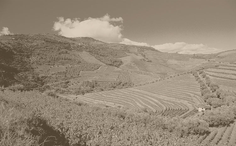 Douro