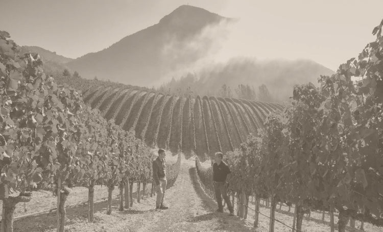 Peter Michael Winery