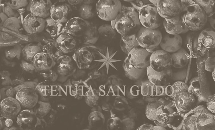 Tenuta San Guido