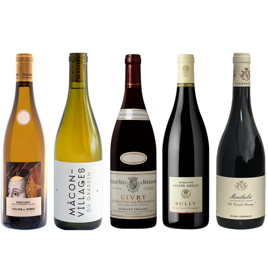 【24%OFF】ブルゴーニュ5本セット / Reasonable Burgundy 5 Bottles Set