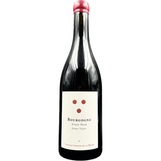 【お1人様3本限り】Antoine Lepetit de la Bigne / Bourgogne Pinot Noir Jeunes Vignes 2023