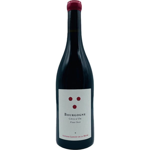 【お1人様3本限り】Antoine Lepetit de la Bigne / Bourgogne Cote d'Or Pinot Noir 2023