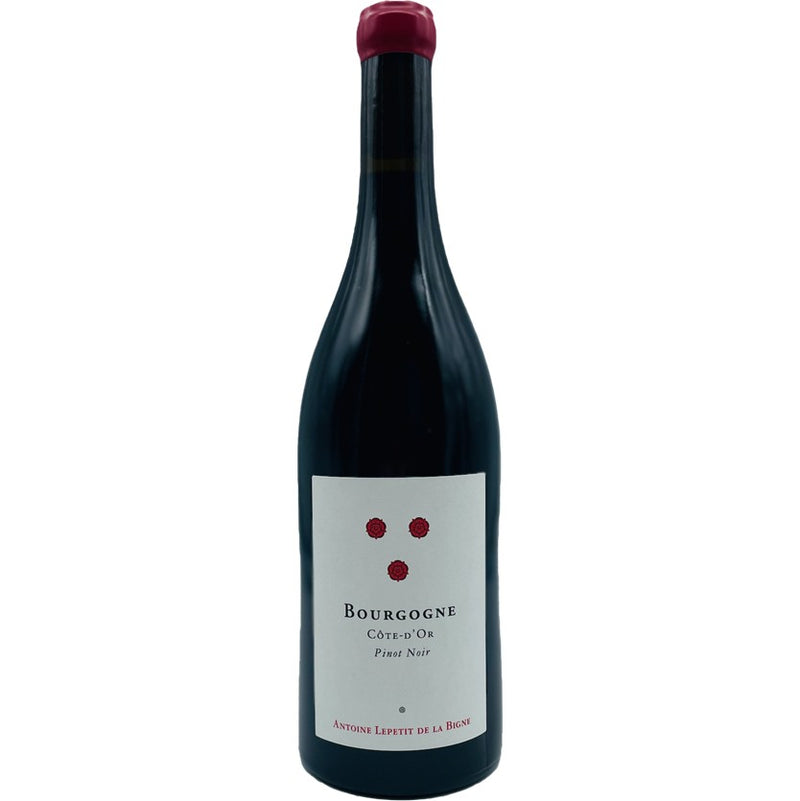 【お1人様3本限り】Antoine Lepetit de la Bigne / Bourgogne Cote d'Or Pinot Noir 2023