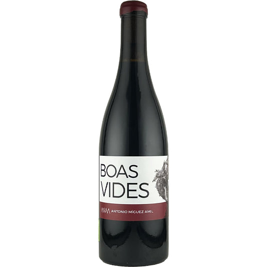 Antonio Miguez Amil / Boas Vides
