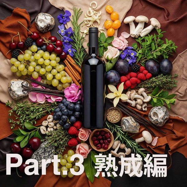 11/23(日) Basic Flavor Wine Science Part.3 熟成編